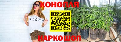 jwh Обь